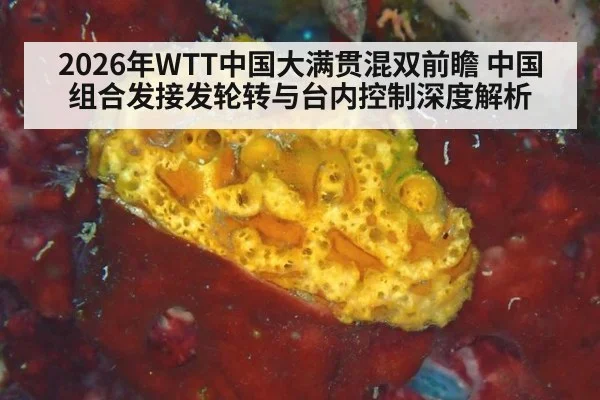 2026年WTT中国大满贯混双前瞻 中国组合发接发轮转与台内控制深度解析